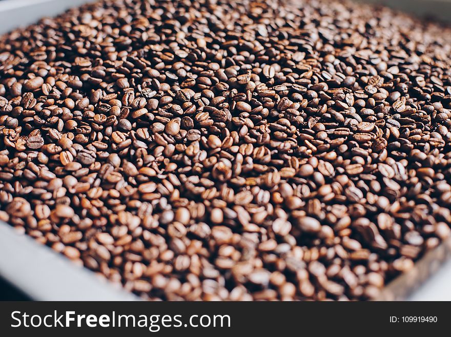 Close-Up Photography Of Roasted Coffee Beans