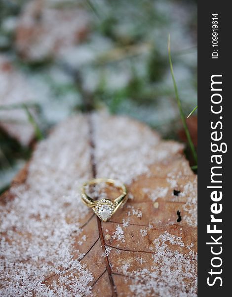 Diamond Pear Cut Ring On Brown Leaf With Snow