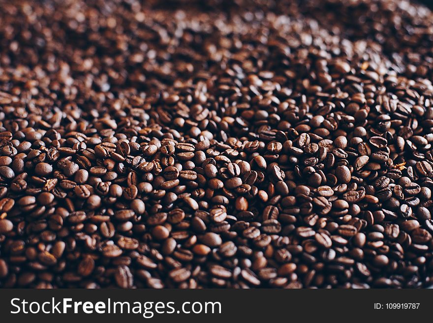 Close-Up Photography Of Roasted Coffee Beans