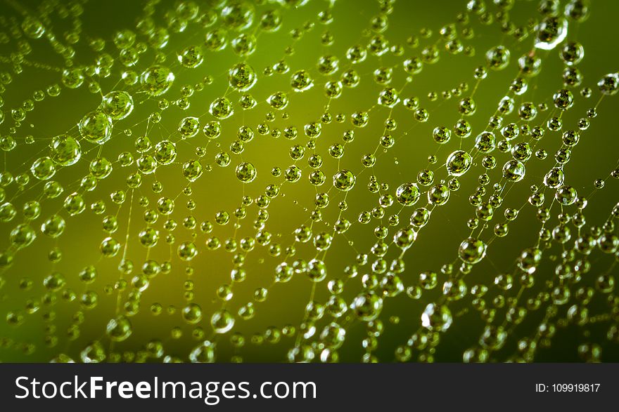 Close-up Photography Of Spiderweb With Water Dew