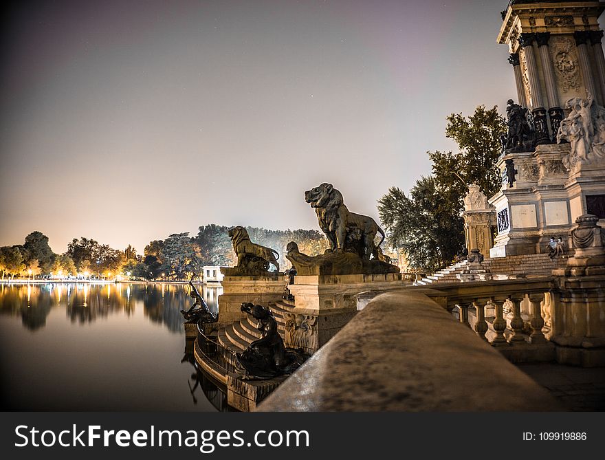 Shallow Focus of Gold Lion Statues