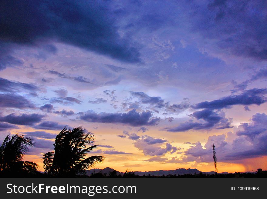 Photo of Cirrus Clouds during Golden Hour