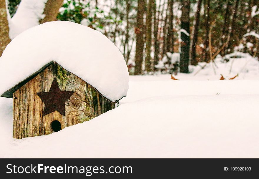 Brown Wooden Birdhouse Covered With Snow