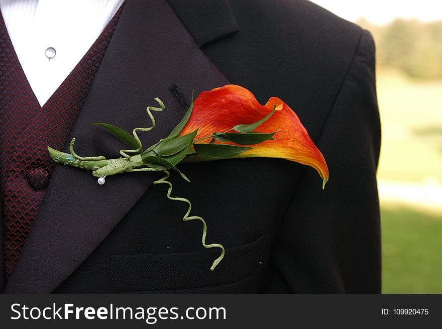 Macro Photography Of Black Formal Dress Coat With Red Flower Design
