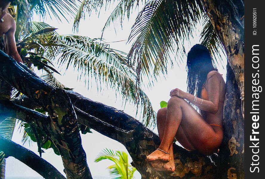 Woman Wearing Orange Bikini Sitting On Tree Branch