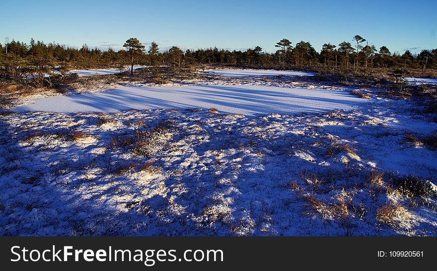 Photo of Field Covered With Snow