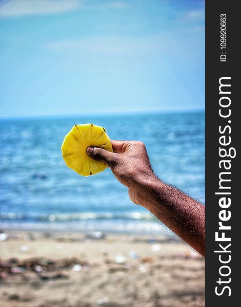 Person Holding Sliced Pineapple