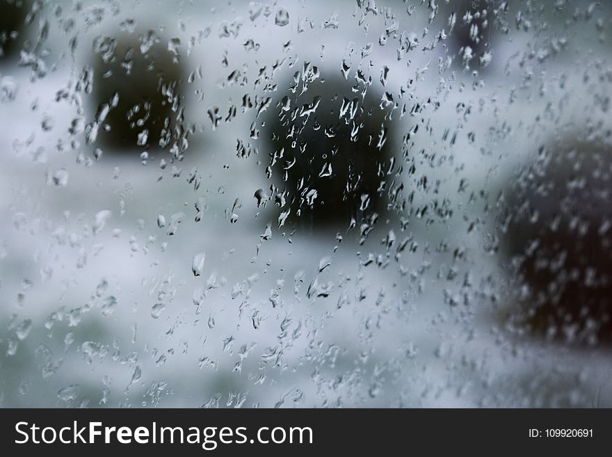 Shallow Focus Photography of Rain Droplets