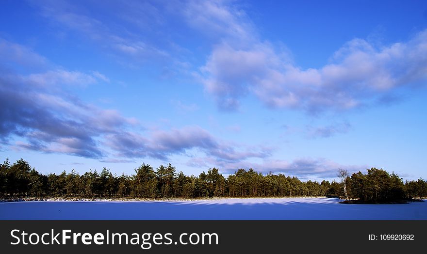 Photo Of Trees During Winter