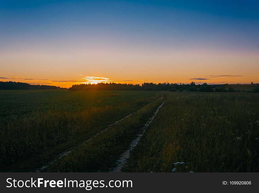 Photo of Green Grass Field during Golden Hours