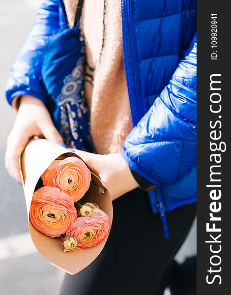 Pink Ranunculus Flower Bouquet on Persons Hand Wearing Blue Zip-up Jacket