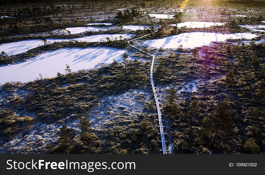 Aerial Photo of Frozen Lakes Surrounded by Trees