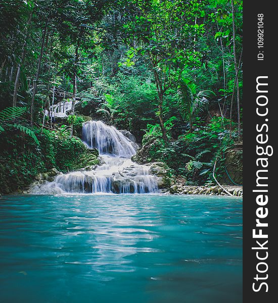 Photography Of Waterfalls Between Trees