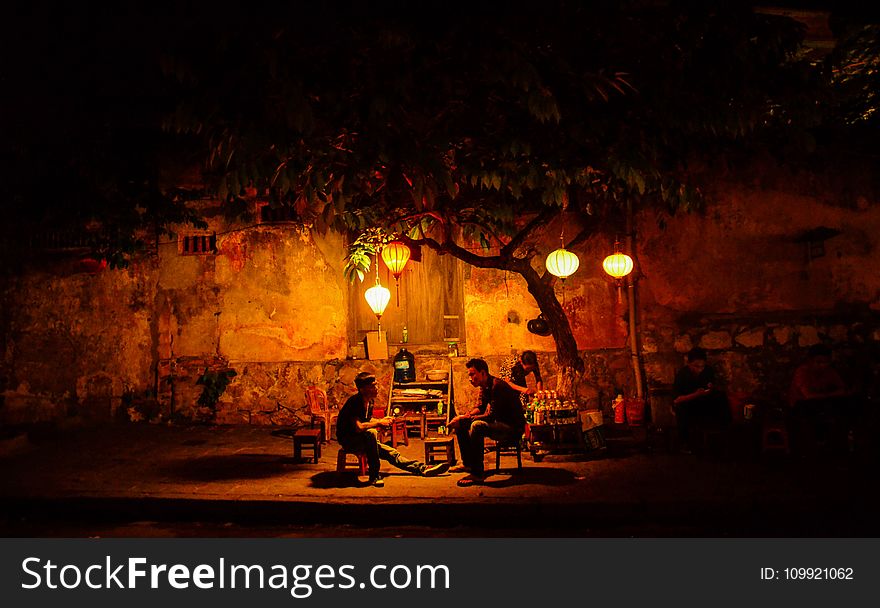 Two People Sitting Underneath Green Tree during Night Time