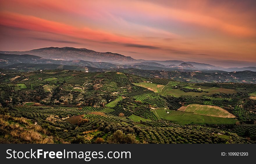 Green Field Photo