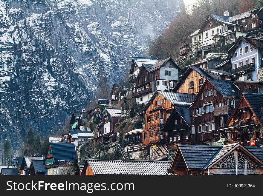 Assorted-color Wooden House on Mountain
