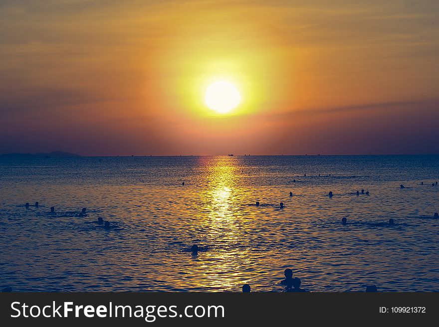 Silhouette of People Swimming in the Ocean During Sunset