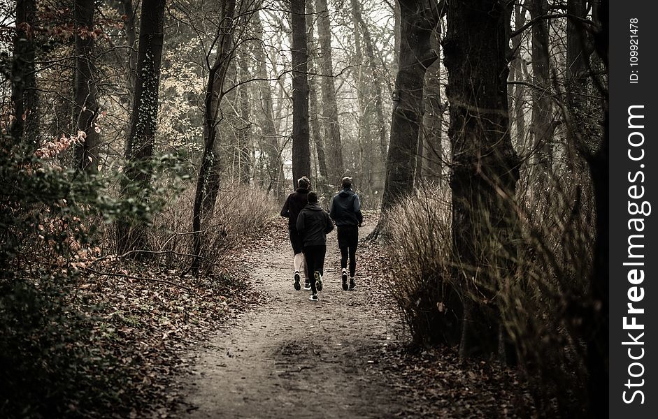 Monochrome Photography of People Jogging Through The Woods