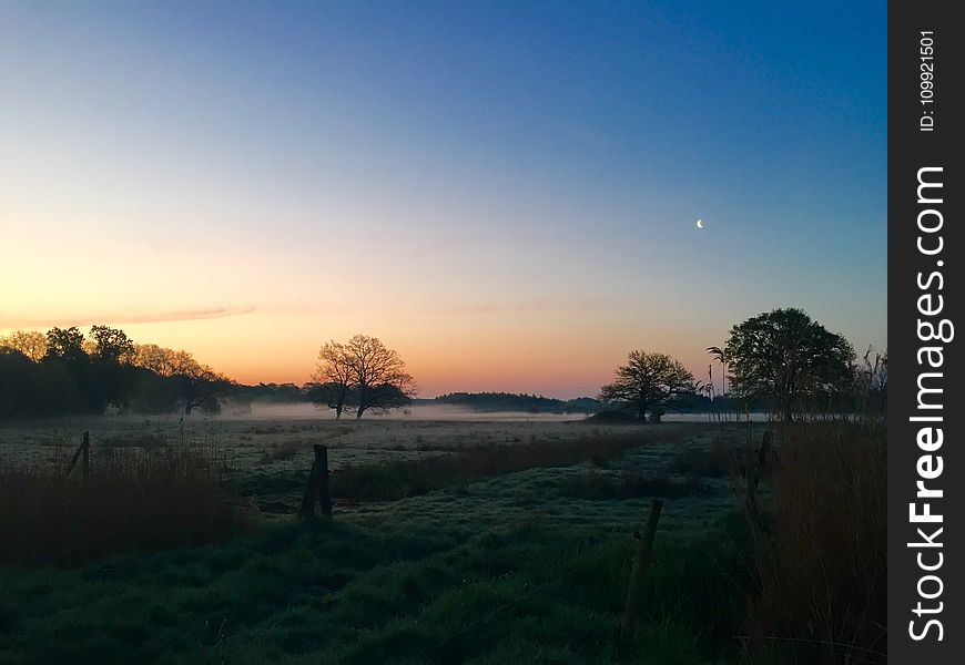 Green Field With Smog During Sunrise