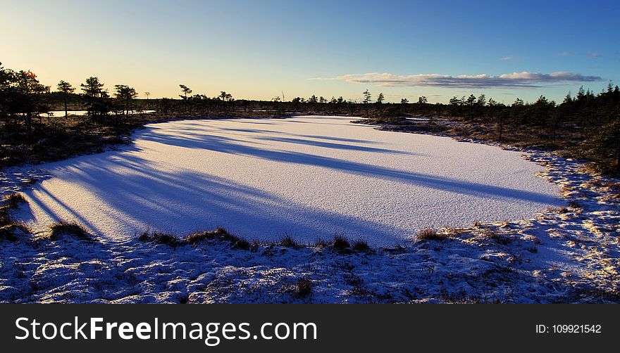 Photo of Frozen Lake Surrounded by Trees