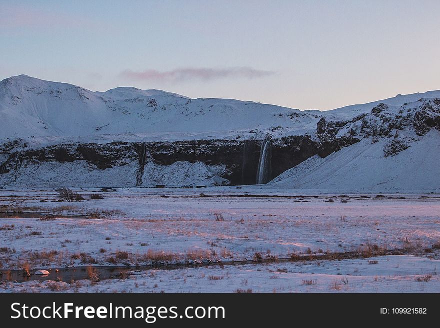 Black and White Snow Landscape