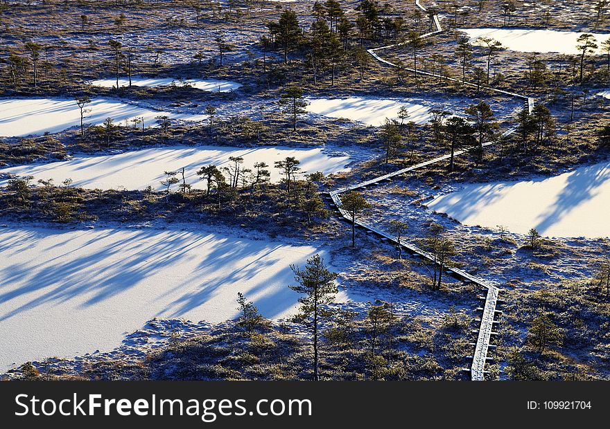 Aerial Photography Of Frozen Lakes Surrounded By Trees