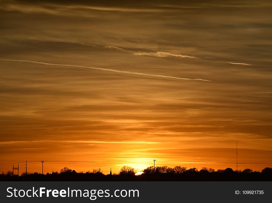 Silhouette Photo Of Trees During Golden Hour