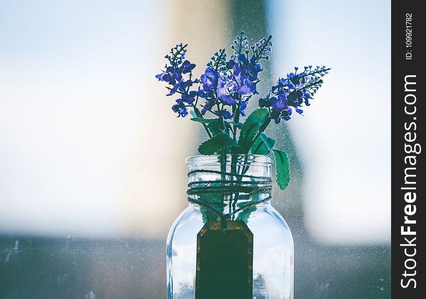 Close-Up Photography of Purple Flowers in Clear Glass Vase