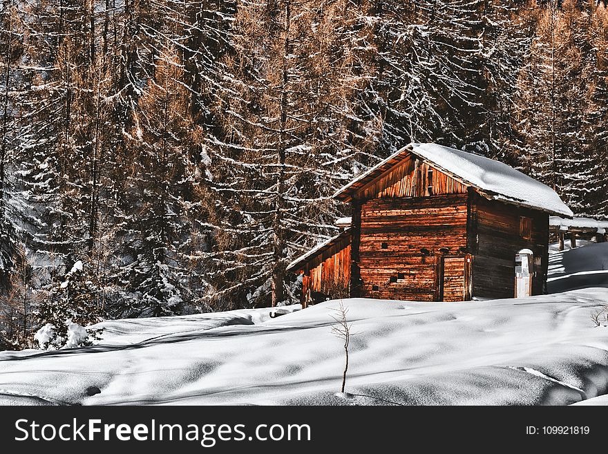 Brown Wooden Cabin In Snowy Landscape Near Forest