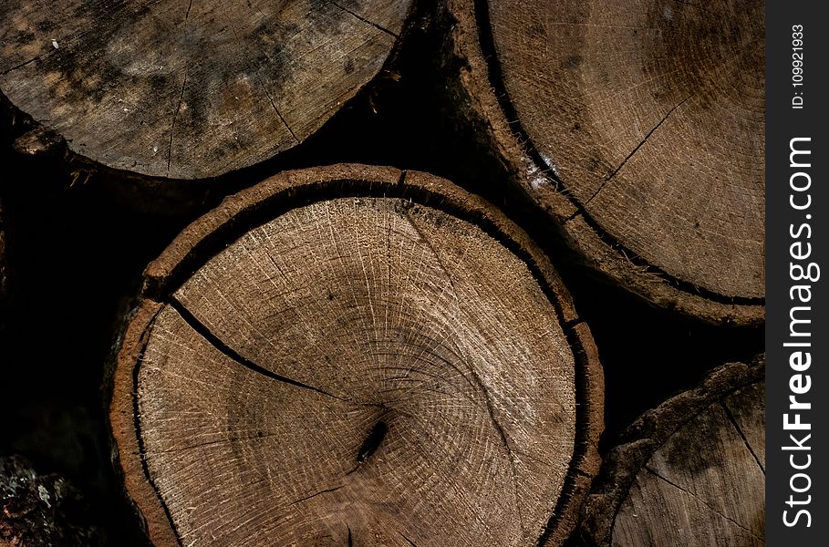 Round Brown Wooden Slab