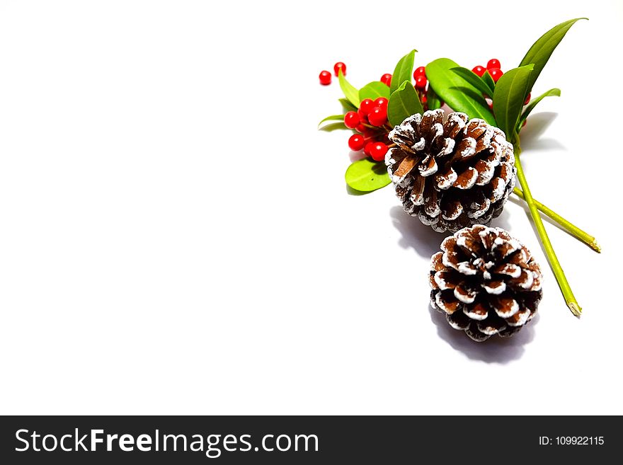 Two Pine Cones