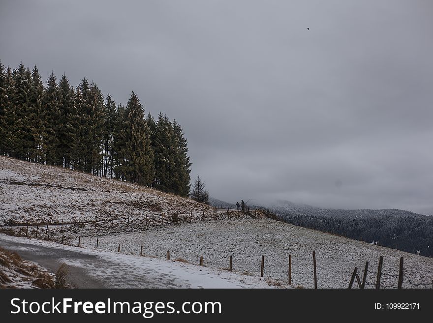 Photo Of Field Near Green Trees