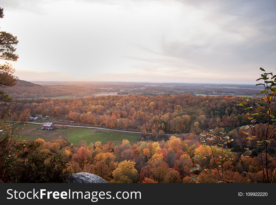 Aerial Photography of Yellow Leaf Trees Under Nimbus Clouds