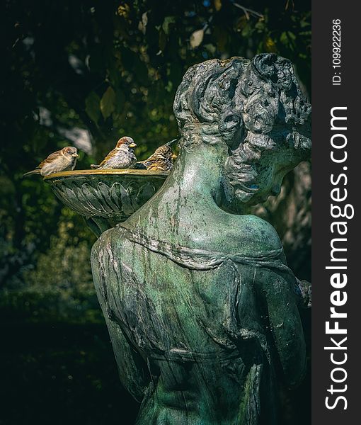 Woman Statue With Bird Bath