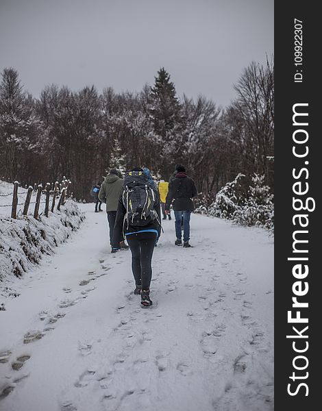 People Walking on Snowy Road during Winter