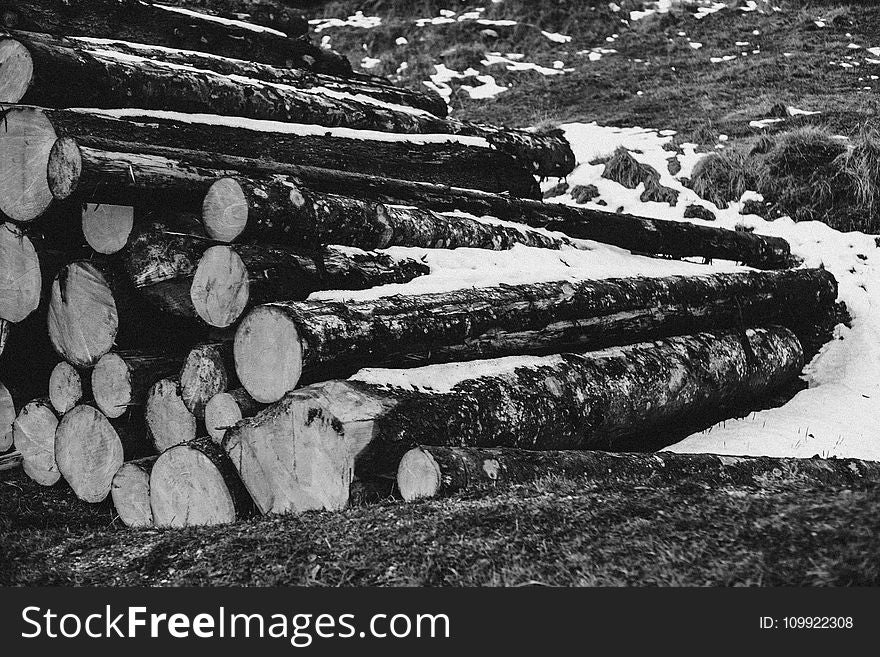 Grayscale Photo of Piled Wood Logs