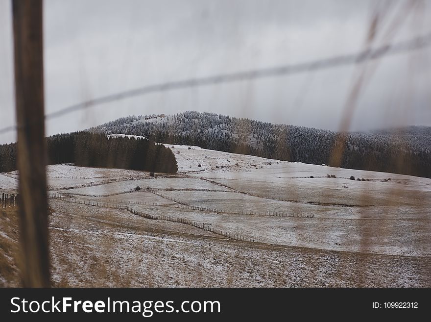 Withered Grass Field at Daytime