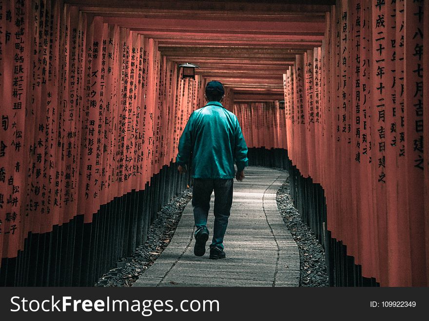 Person Walking on Arbor