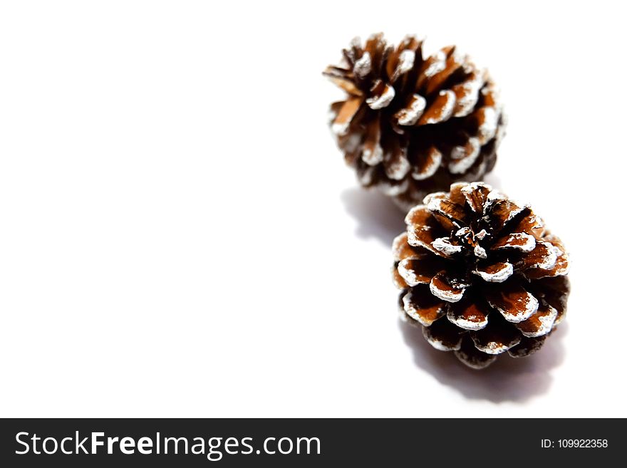 Two Brown-and-white Pine Cones