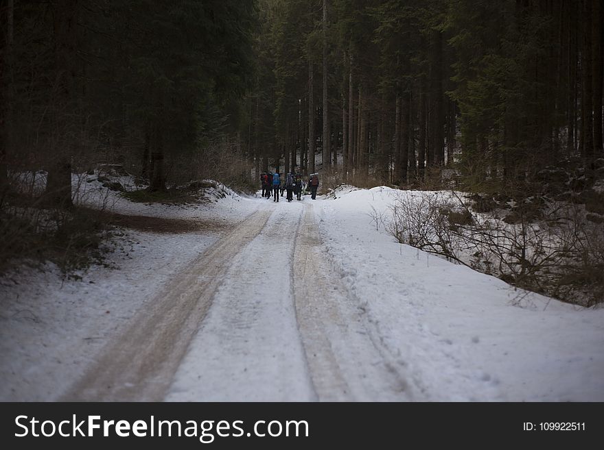 People Walking On Icy Road