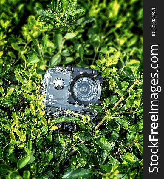 Gray and Black Action Camera on Green Leaves Plants