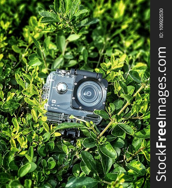 Gray And Black Action Camera On Green Leaves Plants