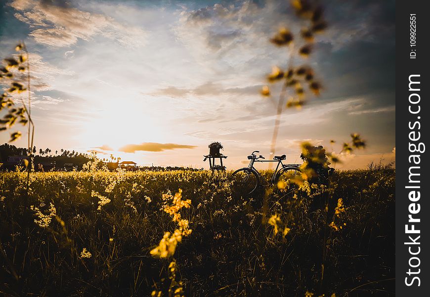 Black Dutch Bicycle Surrounded By Green Grass Field