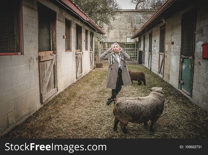 Woman Standing Near Sheep