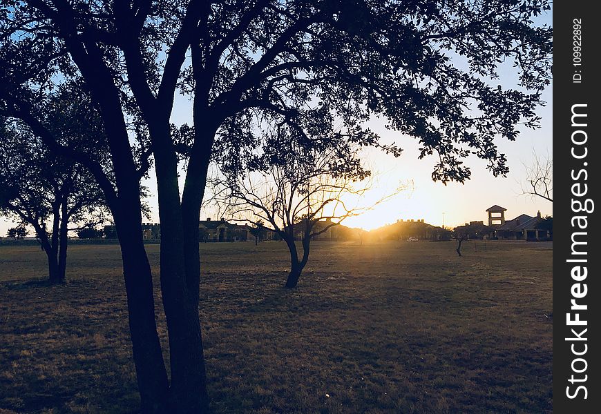 Green Grass Field During Sun Set