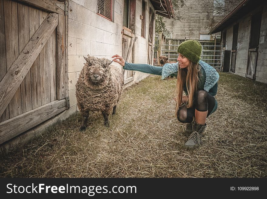 Woman Wearing Beanie Beside Sheep