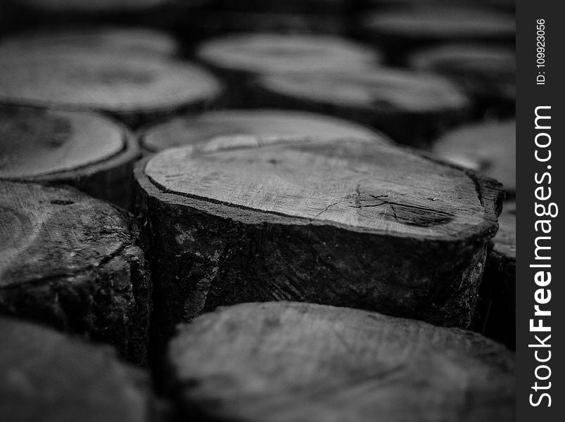 Grayscale Photo of Wood Logs