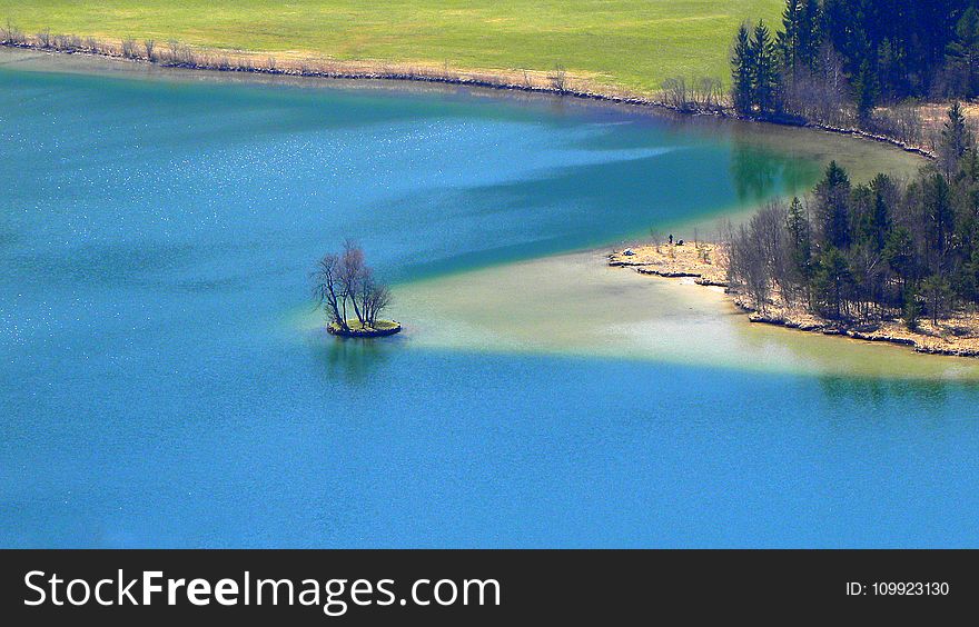 Areal View Of Body Of Water And Trees