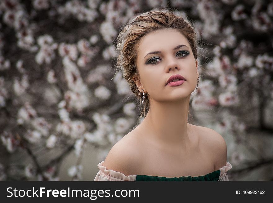 Shallow Focus Photography of Woman Near Cherry Blossom Tree