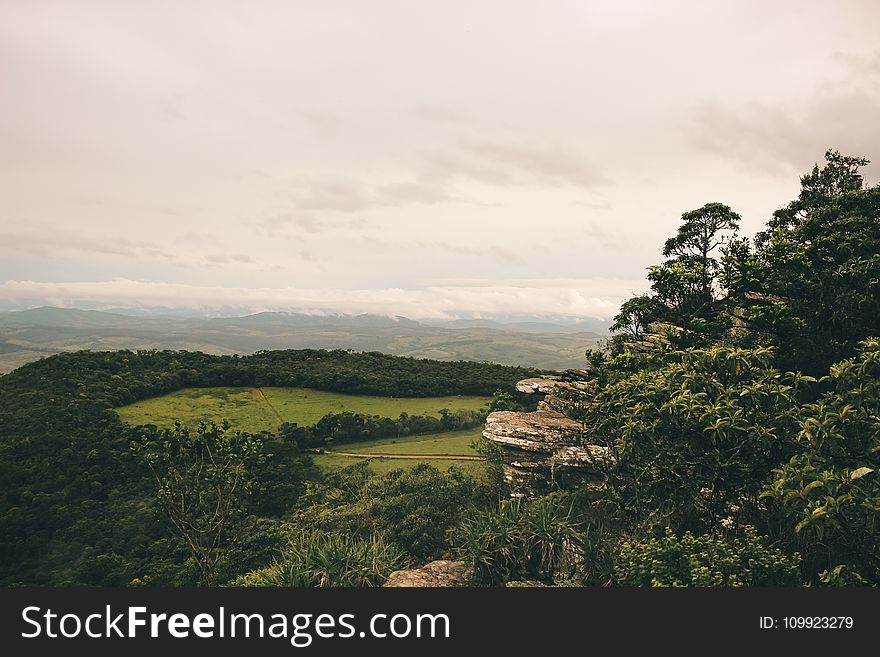 Landscape Photography Of A Green Forest With Mountains